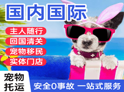 乌审旗嘎鲁图机场快运国际宠物托运 【国